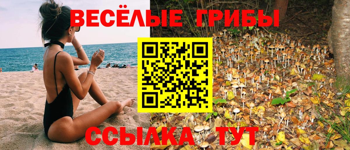 Галлюциногенные грибы Psilocybe Реж